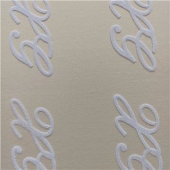 سکرین پرنٹنگ ٹی شرٹ