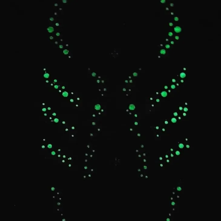 Screen Printing Shoes